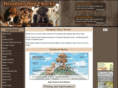 designerdogchecks.com