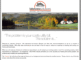 lakeviewsolutions.com