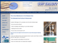 thetilecleaners.com