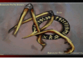 ambivalentresonanceorganization.com