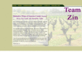 teamzin.com