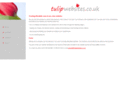 tulipwebsites.com