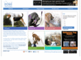 vca.org.au