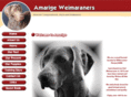 amarigeweimaraners.com