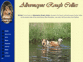 albermayne.com