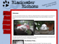 blackwaterbichons.com