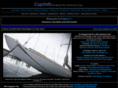 cupinfo.com