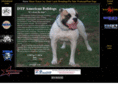 dtpamericanbulldogs.com