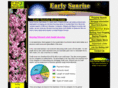 earlysunriserealty.org