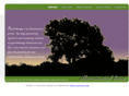 illuminatedlives.com