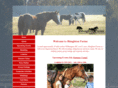 shingletonfarms.com