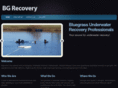 bgrecovery.com