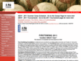 firstswingbaseball.org