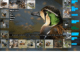myduckpen.com