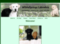 whitespringslabs.com