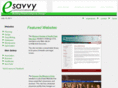 blongesavvy.com