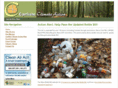 carlisleclimateaction.org