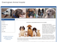 downingtownvet.com