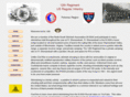 12thus-skirmish.com