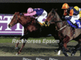 racehorsesepsom.com