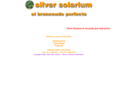 silversolarium.net