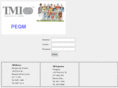 tmi-peqm.com