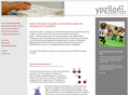 ypzilon.com
