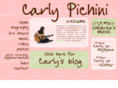 carlypichini.com