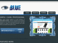 thebluevision.com