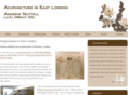 eastlondonacupuncture.co.uk