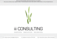 iiiconsulting.com