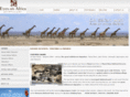 kenya-safari-wildlife.com