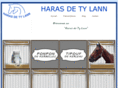 tylann.com