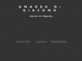 amadeodigiacomo.com