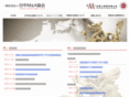 china-japan-ma.org