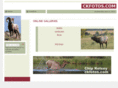 ckfotos.com