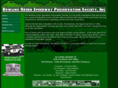 bgsps.com