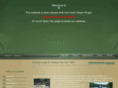 copperriversalmonfishing.com