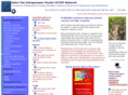 solvetheentrepreneurpuzzle.com