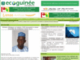 ecoguinee.com