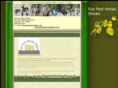funfesthorseshows.com