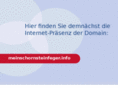 meinschornsteinfeger.info