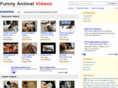 myhollywoodpet.com