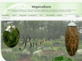 vegeculture.net