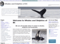 whalesanddolphinsofbc.com