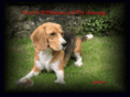 bandit04.com