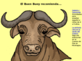 buenbuey.com