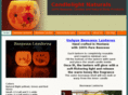 candlelightnaturals.com
