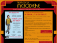 theatremichodiere.com