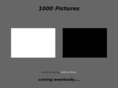 1000pictures.org